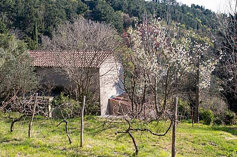 Порторож, дом: 7