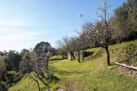 Порторож, дом: 9