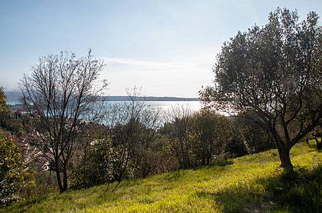 Порторож, дом: 10