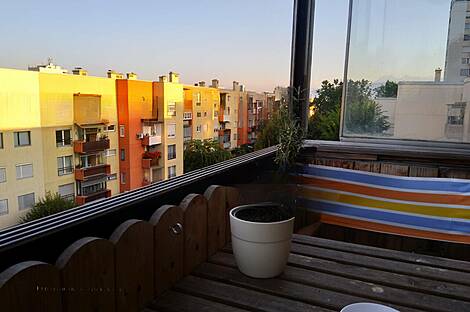 2-комнатная квартира в Новом Белграде: 1