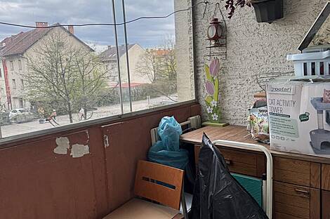 Апартаменты в Новом Бежиграде: 8