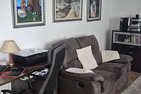 Трёхкомнатная квартира с дополнительной половиной комнаты в Ново БТС 3: 14