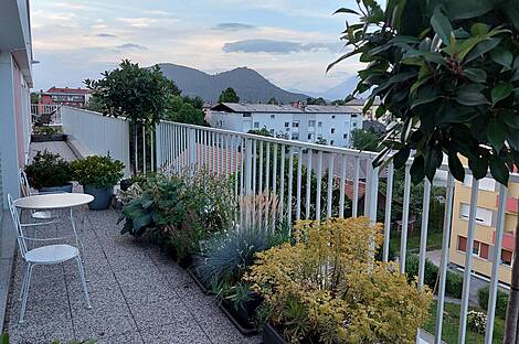 Жилье в Новом Шентвиде: 19