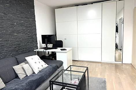 Квартира, 2-комн. Новая Шишка: 4