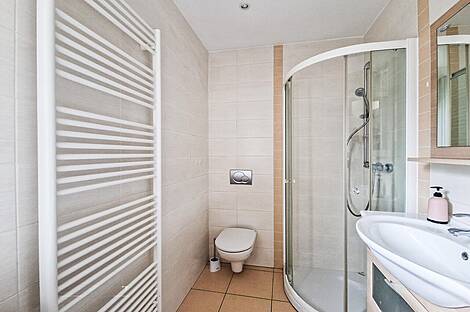 Резиденция семейства Двойчек Ново Черна Вас: 4