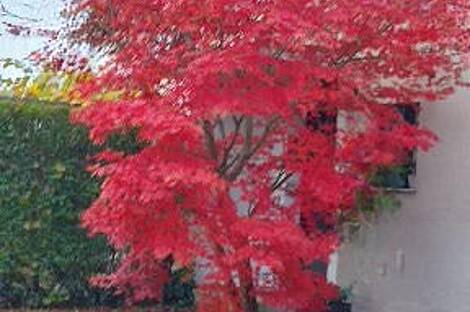 Дом с двумя этажами в Бежиграде: 23