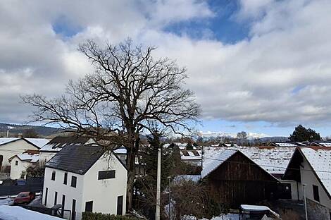 Жилище, Двойчек Нова Дравлье: 5