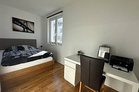 Трёхкомнатная квартира в Изоле: 3