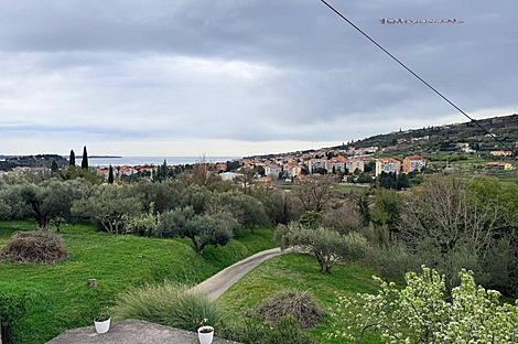 Дом у побережья с обзором на оливковые деревья: 1