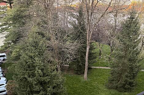 Шишка, 3-комнатная квартира.: 21