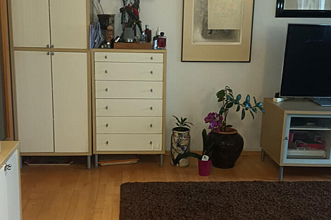 Четырехкомнатная квартира в Ново Фужине: 3