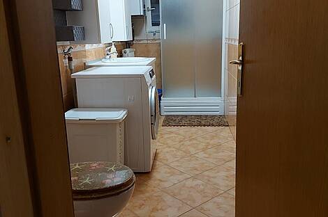 Трёхкомнатная квартира, район Рудника: 8