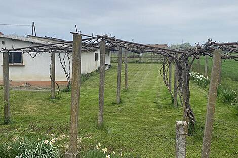 Дом 'Кметияново Цвен': 8