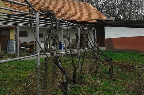 Дом, фермерское хозяйство Совиче.: 8