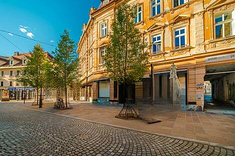 Помещение под коммерцию в центральной части города: 14