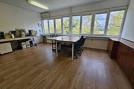 Коммерческая недвижимость Шишка: 1