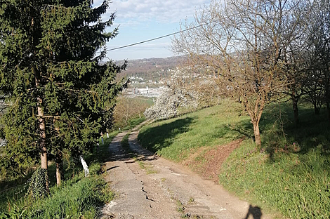 Дом, расположенный в Либне: 7