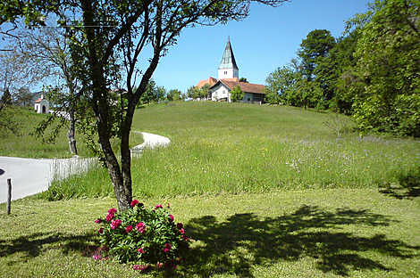 Поместье, ферма Тополе, Текачево.: 4