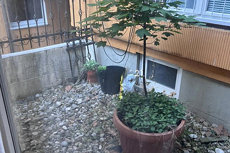 4-комнатная квартира в Новом Бежиграде: 13