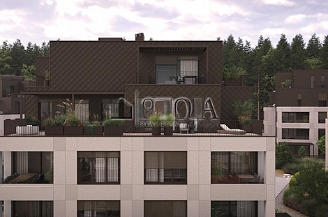 4-комнатная квартира Шишка: 7