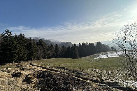 Каменная гора, ферма, усадьба.: 1