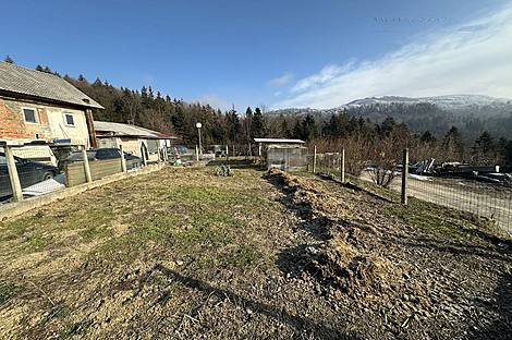 Каменная гора, ферма, усадьба.: 26