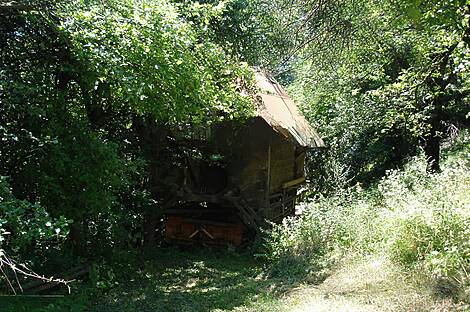 Пребольд, загородный дом-поместье.: 7