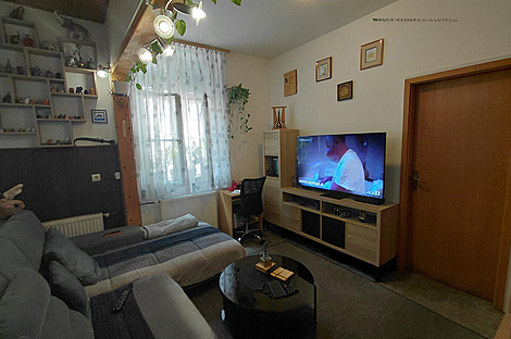 2.5-комнатная квартира в центре Любляны: 20