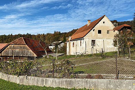 Дом Брыль, сад Бристовница: 16
