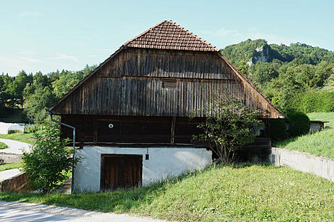 Дом Брыль, сад Бристовница: 19