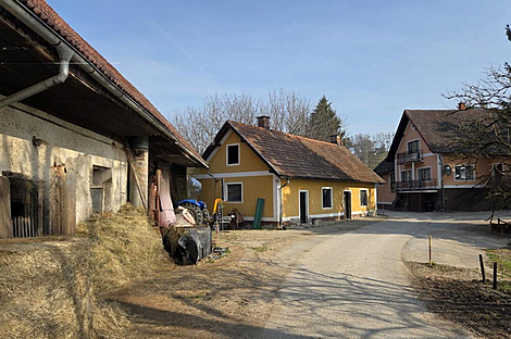 Дом, поместье Шентилий в регионе Словенские Горицы.: 5