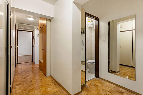 Трехкомнатная квартира, Шишка.: 10