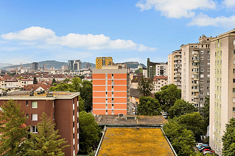 Трехкомнатная квартира, Шишка.: 14