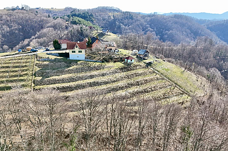 Дом в Планско: 8