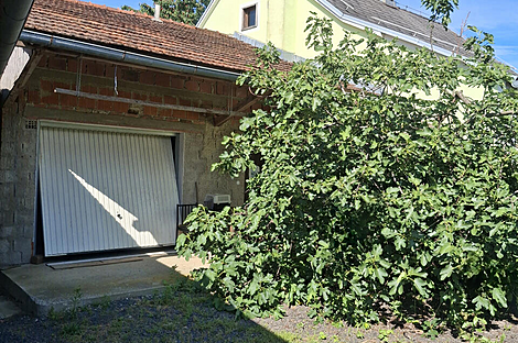 Дом на улице Цанкова 75 в Герлинци: 5