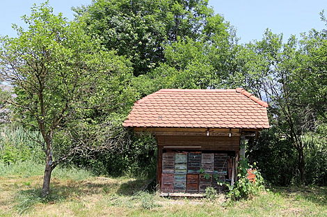 Дом Кметиянового Студенчича.: 30
