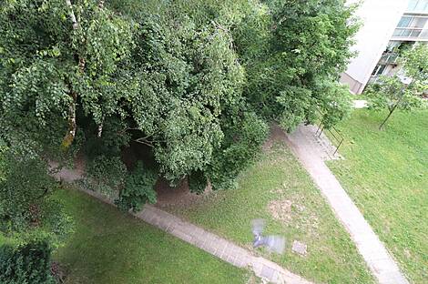 2-комнатная квартира в Новой Любляне: 8