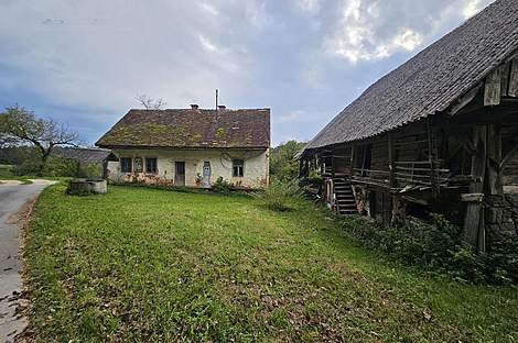 Дом и хозяйство Черешневец: 4