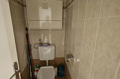 Трехкомнатная квартира в Любляне: 9