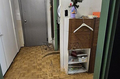 Жилье в Шишке, оборудованное гаражом.: 9