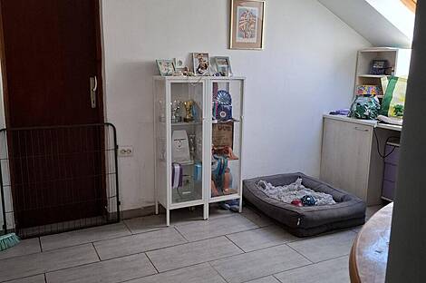 Дом в Верхнем Грушково, Тракошчан.: 12