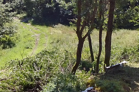 Дом в Локовце: 3