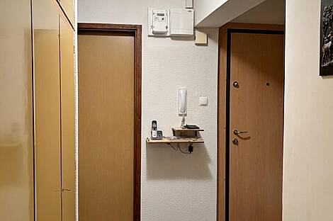 Трёхкомнатная квартира, Шишка.: 9