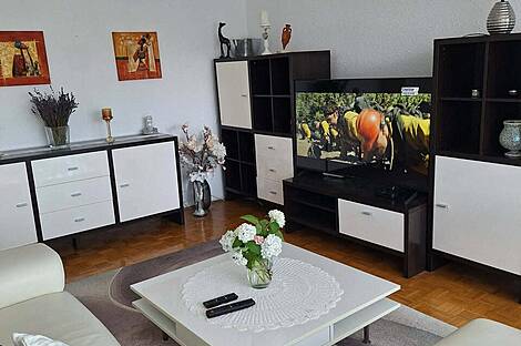Трёхкомнатная квартира в Новой Моще: 2