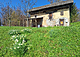 Тржишче Тельче Дом: 1 (превью)